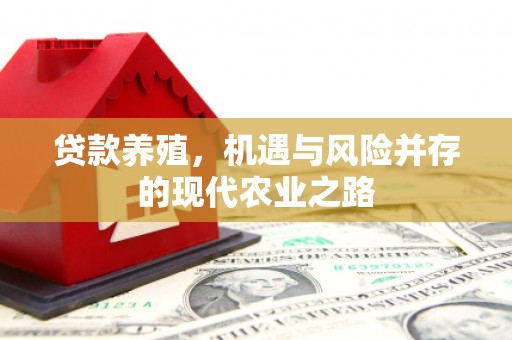 乌拉特中旗贷款养殖，机遇与风险并存的现代农业之路