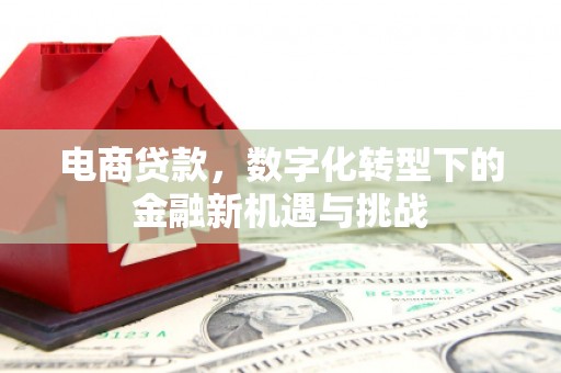 乌拉特中旗电商贷款，数字化转型下的金融新机遇与挑战