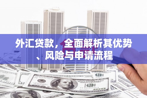 乌拉特中旗外汇贷款，全面解析其优势、风险与申请流程