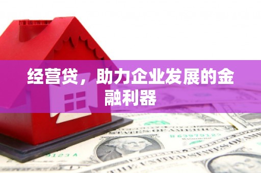 乌拉特中旗经营贷，助力企业发展的金融利器
