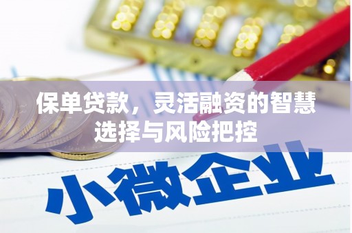乌拉特中旗保单贷款，灵活融资的智慧选择与风险把控