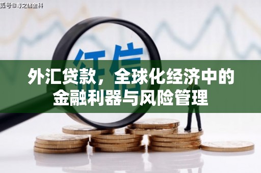 乌拉特中旗外汇贷款，全球化经济中的金融利器与风险管理