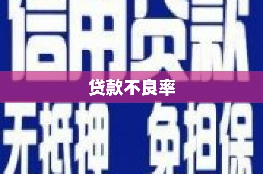 乌拉特中旗贷款不良率