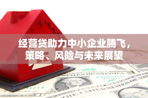 乌拉特中旗经营贷助力中小企业腾飞，策略、风险与未来展望