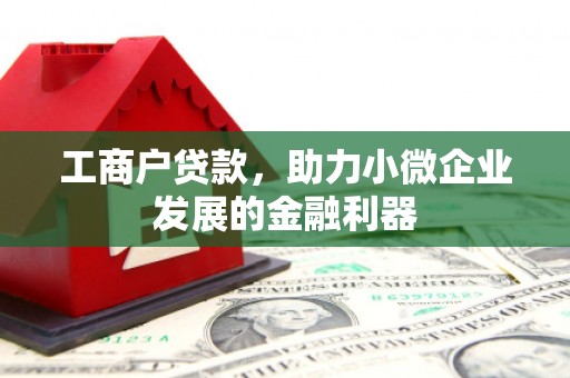 乌拉特中旗工商户贷款，助力小微企业发展的金融利器