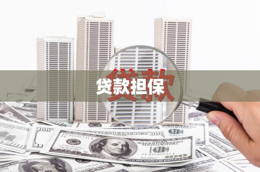 乌拉特中旗贷款担保