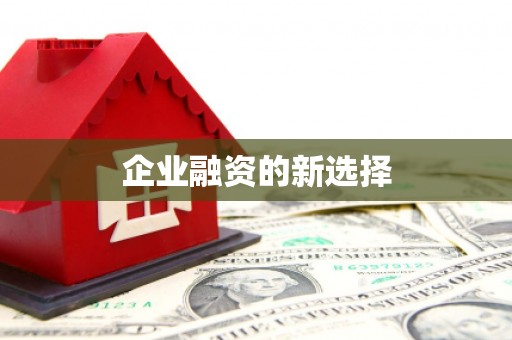 乌拉特中旗企业融资的新选择