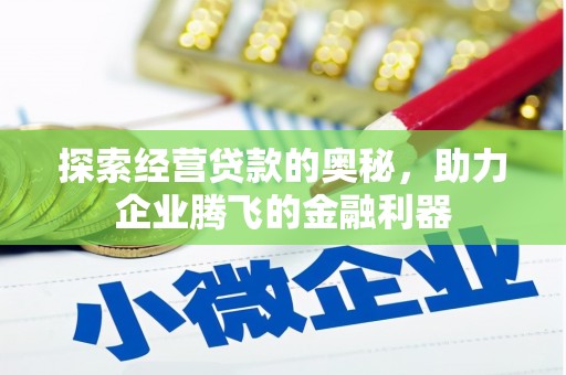 乌拉特中旗探索经营贷款的奥秘，助力企业腾飞的金融利器