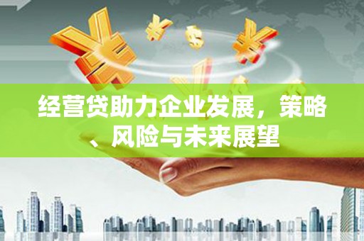 乌拉特中旗经营贷助力企业发展，策略、风险与未来展望
