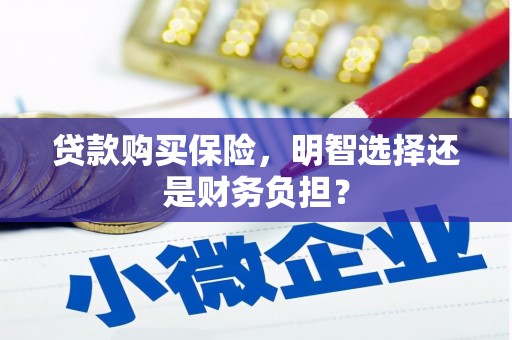 乌拉特中旗贷款购买保险，明智选择还是财务负担？