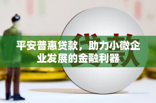 乌拉特中旗平安普惠贷款，助力小微企业发展的金融利器