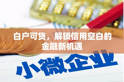 乌拉特中旗白户可贷，解锁信用空白的金融新机遇