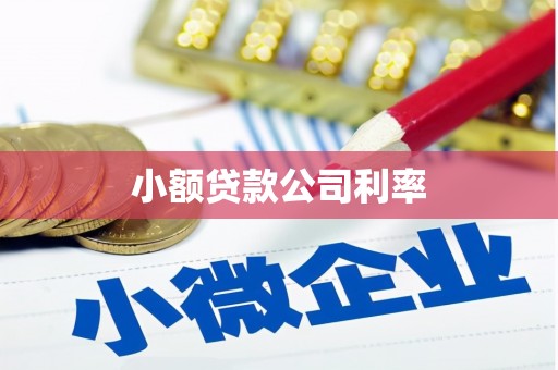 乌拉特中旗小额贷款公司利率