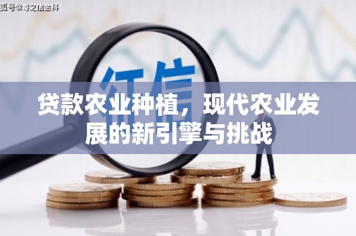 乌拉特中旗贷款农业种植，现代农业发展的新引擎与挑战
