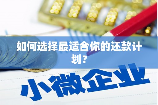 乌拉特中旗如何选择最适合你的还款计划？