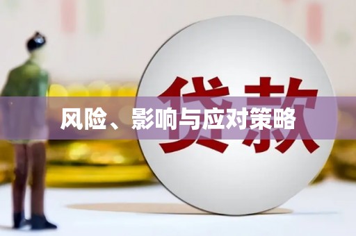 乌拉特中旗风险、影响与应对策略