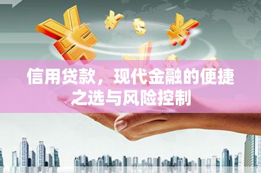 乌拉特中旗信用贷款，现代金融的便捷之选与风险控制