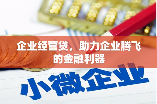 乌拉特中旗企业经营贷，助力企业腾飞的金融利器