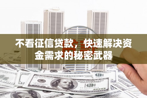 乌拉特中旗不看征信贷款，快速解决资金需求的秘密武器