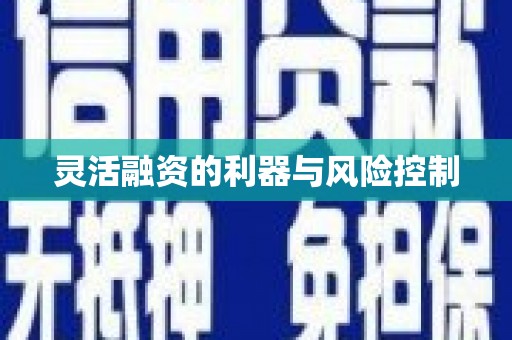 乌拉特中旗灵活融资的利器与风险控制