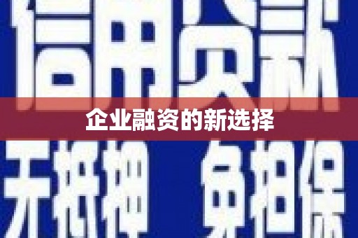 乌拉特中旗企业融资的新选择