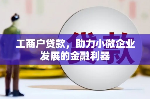 乌拉特中旗工商户贷款，助力小微企业发展的金融利器