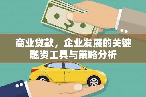 乌拉特中旗商业贷款，企业发展的关键融资工具与策略分析