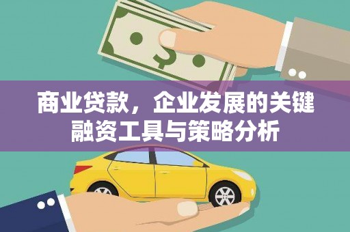 乌拉特中旗商业贷款，企业发展的关键融资工具与策略分析
