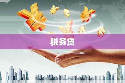 乌拉特中旗税务贷
