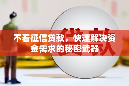 乌拉特中旗不看征信贷款，快速解决资金需求的秘密武器