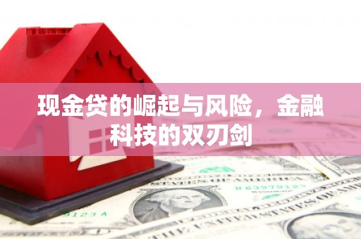 乌拉特中旗现金贷的崛起与风险，金融科技的双刃剑