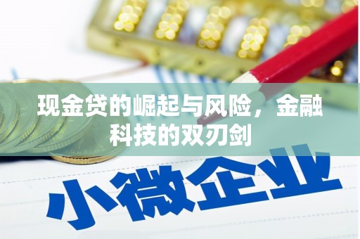 乌拉特中旗现金贷的崛起与风险，金融科技的双刃剑