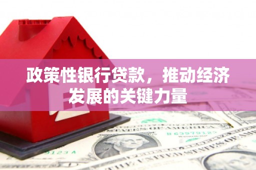 乌拉特中旗政策性银行贷款，推动经济发展的关键力量