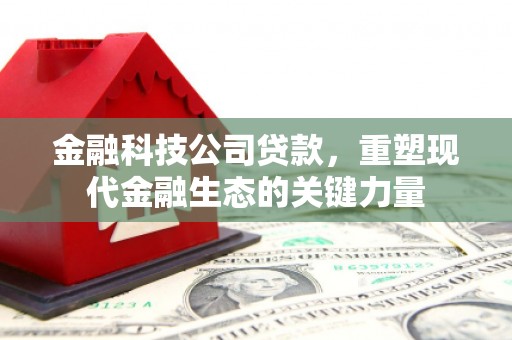 乌拉特中旗金融科技公司贷款，重塑现代金融生态的关键力量