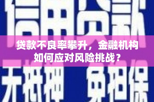 乌拉特中旗贷款不良率攀升，金融机构如何应对风险挑战？