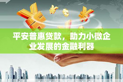 乌拉特中旗平安普惠贷款，助力小微企业发展的金融利器
