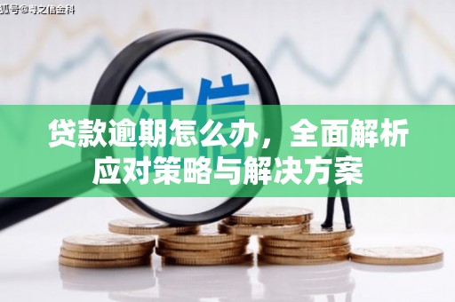 乌拉特中旗贷款逾期怎么办，全面解析应对策略与解决方案
