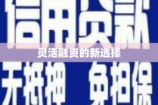 乌拉特中旗灵活融资的新选择
