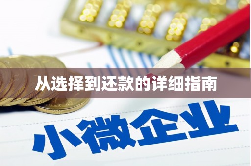 乌拉特中旗从选择到还款的详细指南
