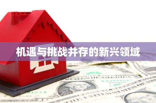乌拉特中旗机遇与挑战并存的新兴领域