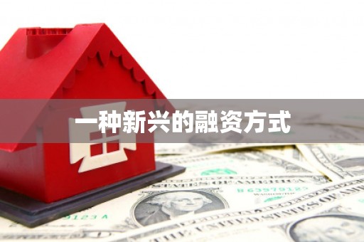 乌拉特中旗一种新兴的融资方式